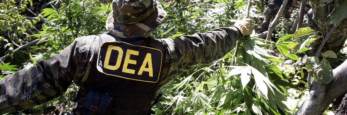 DEA claims no guidelines on enforcing federal marijuana ban