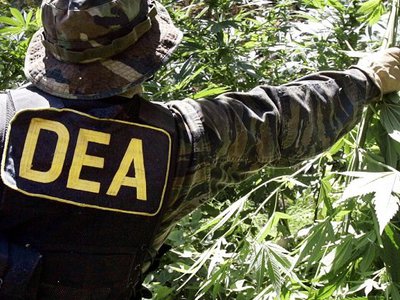 DEA claims no guidelines on enforcing federal marijuana ban