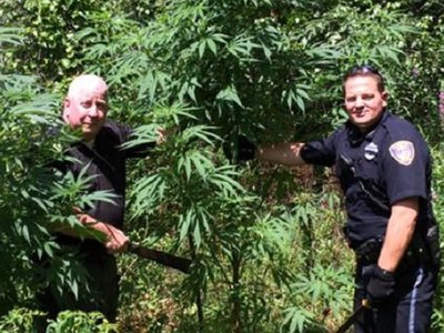 Raid on grandmother's pot plant funded by federal "Cannabis Eradication" program