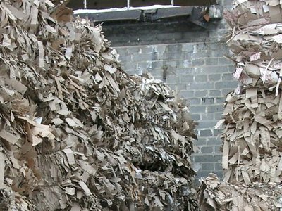 Greening espionage: The CIA's resistance to recycled paper