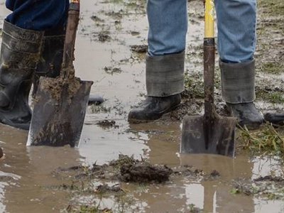Louisiana records give insight into thousands of businesses that utilize prison labor