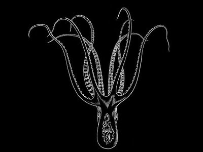The Vanishing Octopus: Justice Department changes the FBI’s story on Danny Casolaro's file