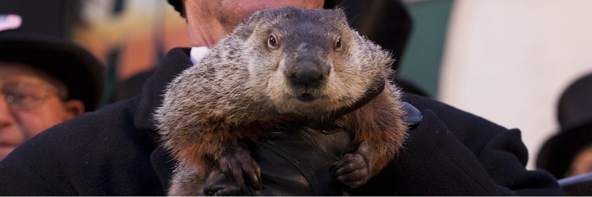 Did the mayor of New York assassinate a groundhog, and other shocking revelations from the #Groundhoghazi emails