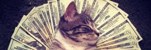 The fat cats of Kansas and Minnesota are holding dog registration data ransom