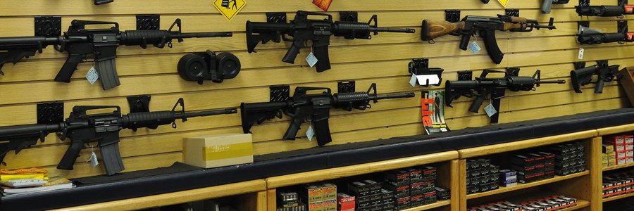 Could you purchase a gun in Nevada? Probably.