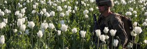That time the CIA drove a drug abuse non-profit into existential crisis