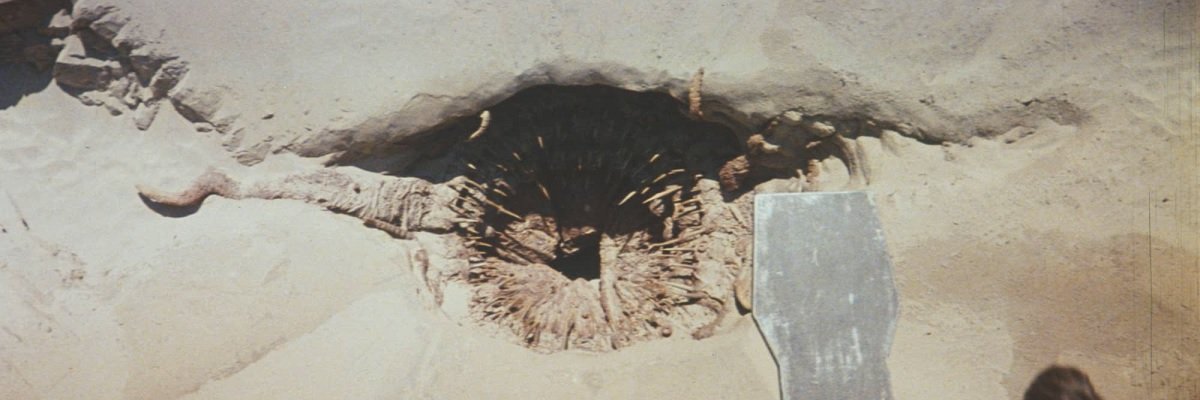 In emails, NASA denies child slave ring on Mars, confirms politician-eating tentacle monster on Europa