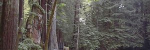 That time a CIA director told a mustache joke at Bohemian Grove