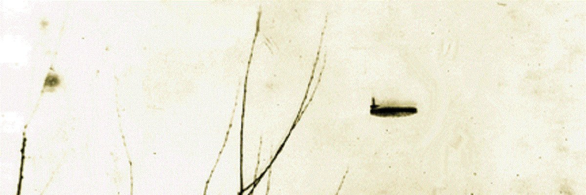 Formerly SECRET memo shows how the Air Force investigated UFO sightings