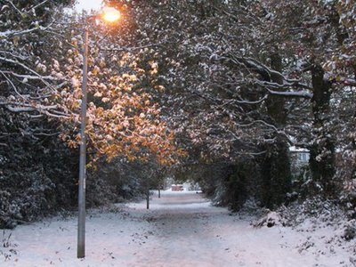 Your snow day FOIA inspiration and a chance to chat FOIA