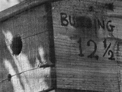 Why did the CIA classify a birdhouse?
