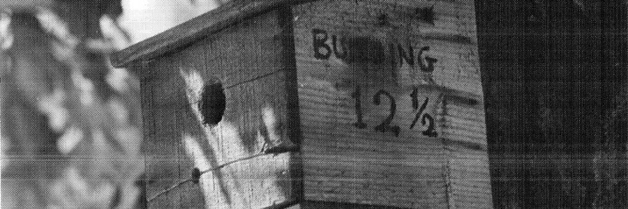 Why did the CIA classify a birdhouse?