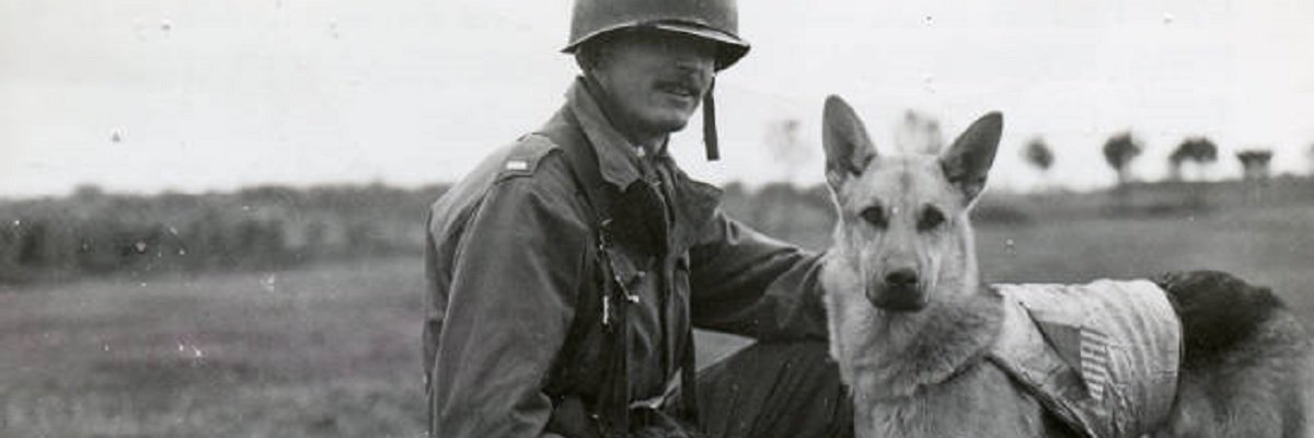 The CIA's dogs of war