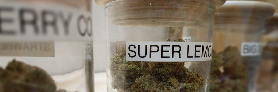 New Massachusetts pot shop prompts officials to heighten security measures