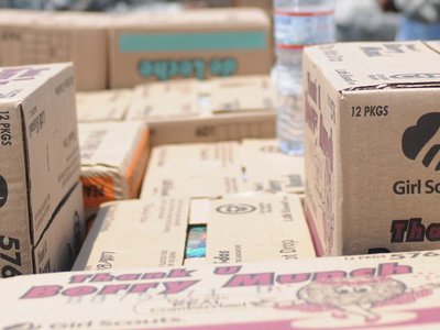 Cookie, Crumbled: FTC complaints about the Girl Scouts