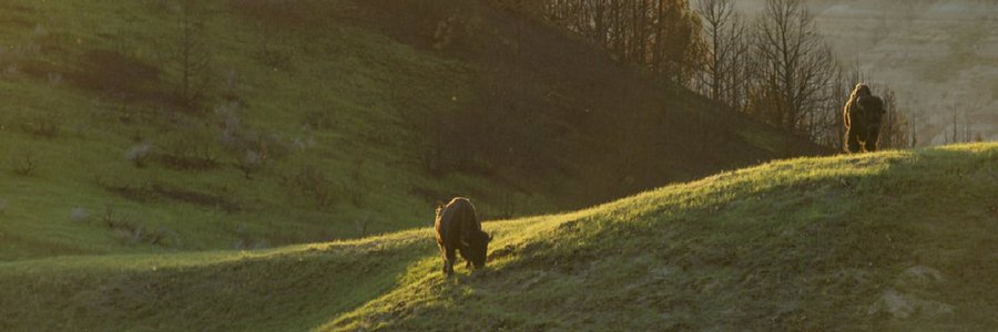 This week’s FOIA round-up: House Democrats ask for more money to give to the Interior Department’s FOIA office, Amazon spoofs fake packages for cops, and a law student sues a South Carolina county