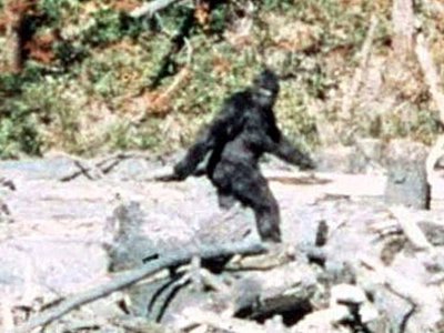 The FBI releases its file on Bigfoot