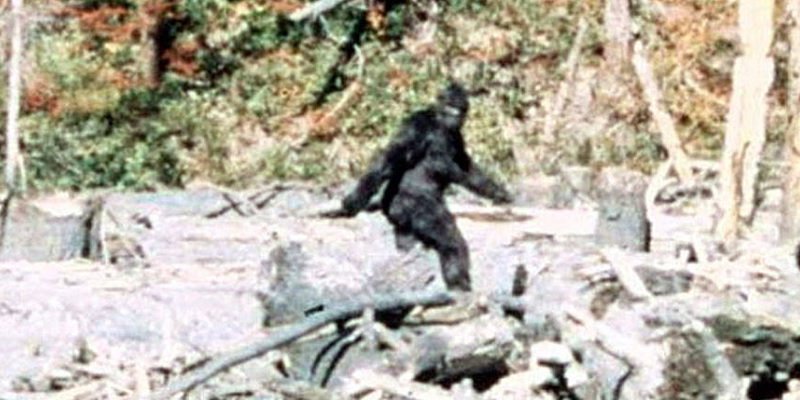 The FBI releases its file on Bigfoot