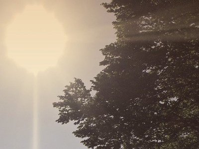 The FOIA Update: Most state records laws remain in place, cancelled meetings will affect accountability