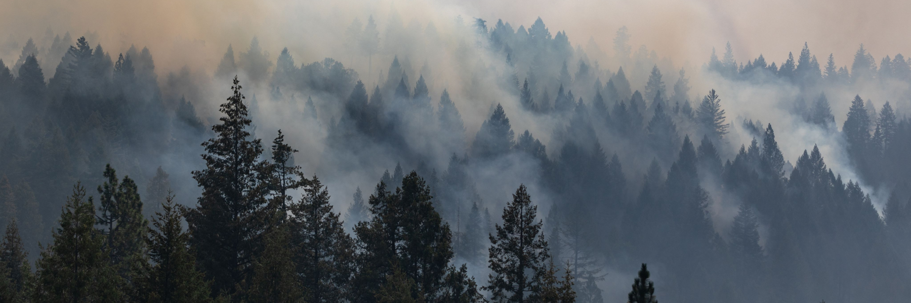 In California, unhealthy pollution from wildfire smoke has become dangerously common