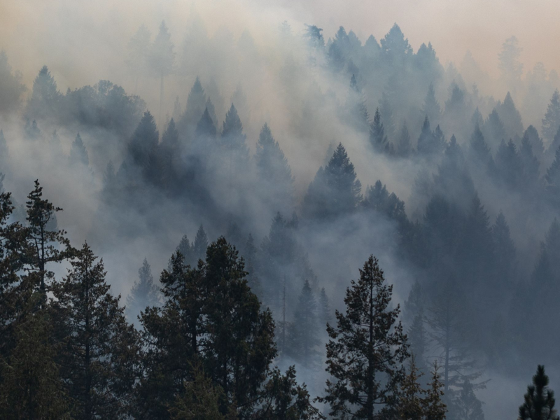 In California, unhealthy pollution from wildfire smoke has become dangerously common