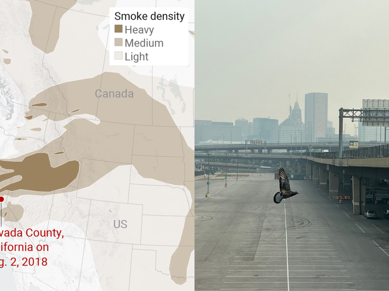 A resident who stayed in Foresthill, California despite an evacuation order due to the Mosquito Fire, takes a picture of the wildfire's plume on September 7, 2022. Photograph: Andrew Nixon/CapRadio