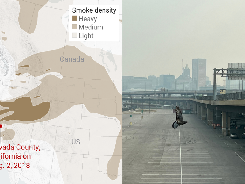 A resident who stayed in Foresthill, California despite an evacuation order due to the Mosquito Fire, takes a picture of the wildfire's plume on September 7, 2022.  Photograph: Andrew Nixon/CapRadio