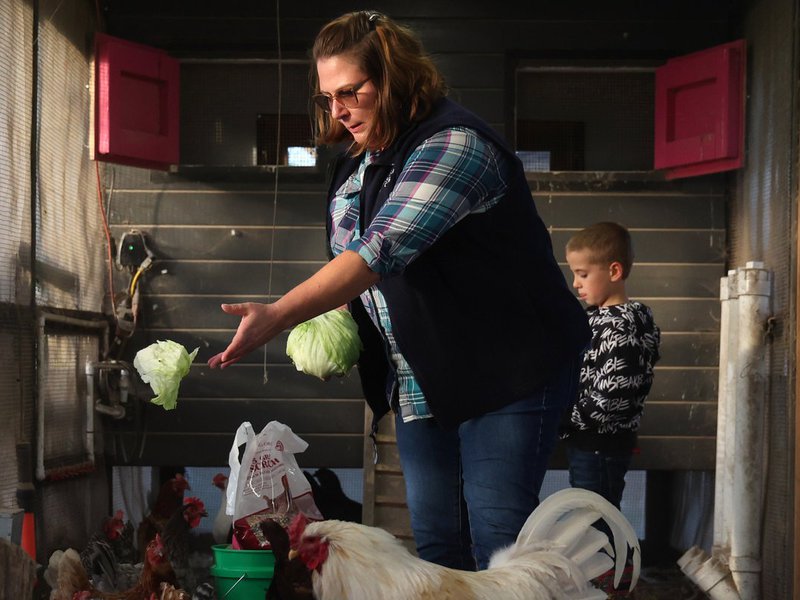 Jessica Beverly and her 8-year-old son, Teddy, feed chickens at their 9-acre hobby farm on Nov. 6, 2023, in Woodstock. "The health department issued alerts and the cities canceled some of their outdoo