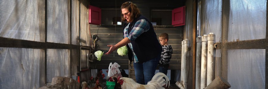 Jessica Beverly and her 8-year-old son, Teddy, feed chickens at their 9-acre hobby farm on Nov. 6, 2023, in Woodstock. "The health department issued alerts and the cities canceled some of their outdoo