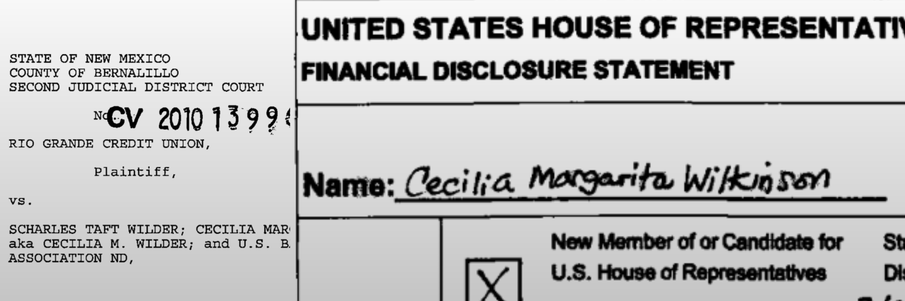 Screenshots of Margarita Wilkinson's personal financial disclosure form