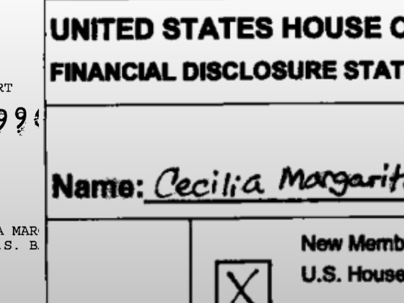 Screenshots of Margarita Wilkinson's personal financial disclosure form