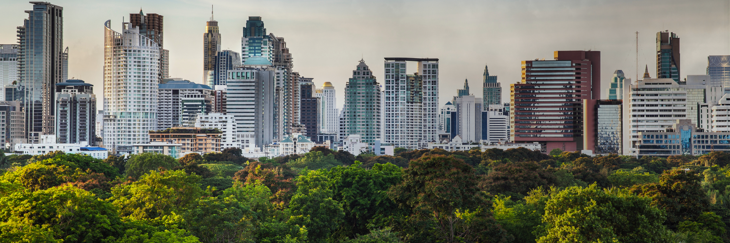 Cityscape with a row of trees in front