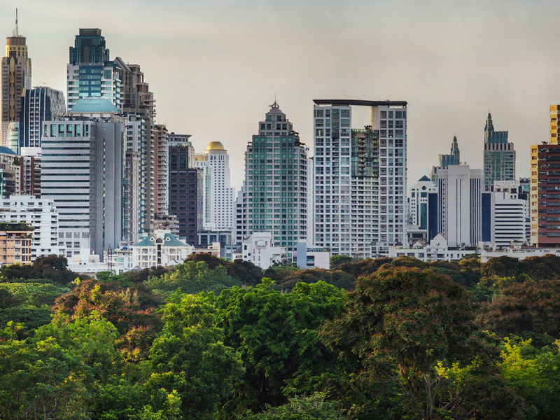 Cityscape with a row of trees in front