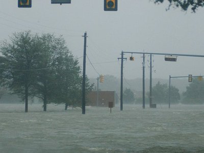 2013 FBI flood damage assessment shows shocking scope of records loss
