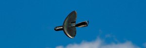 Military drone manufacturer accused of "pattern of misconduct"
