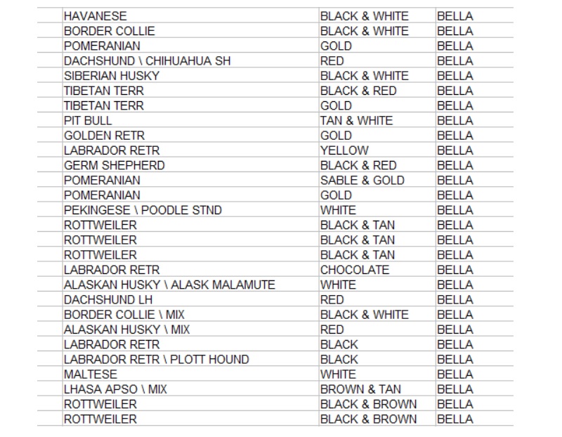 City names for deals dogs